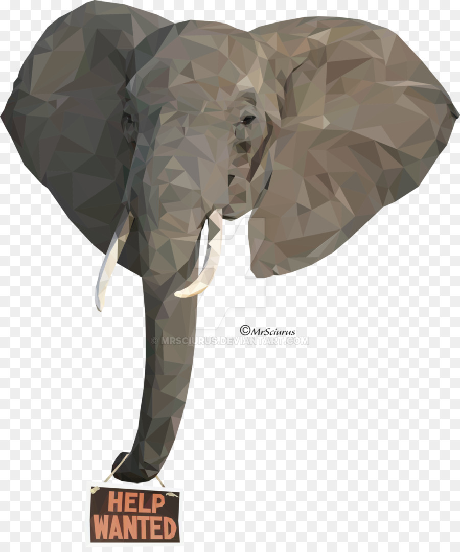 Elefante Indio，El Elefante Africano PNG