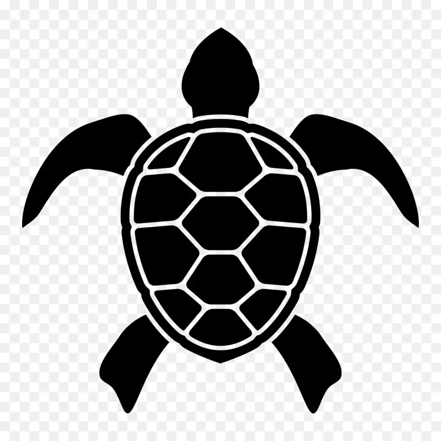 Tortuga，Rafael PNG