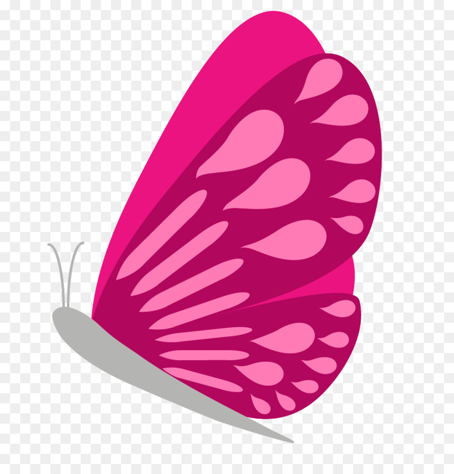 Mariposa，Rosa PNG