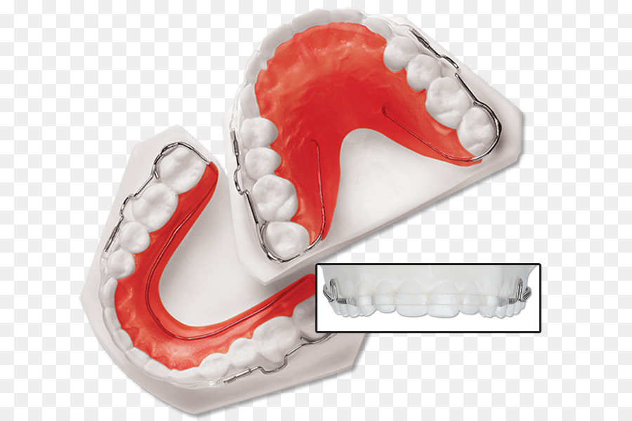 Retenedor Dental，Dientes PNG