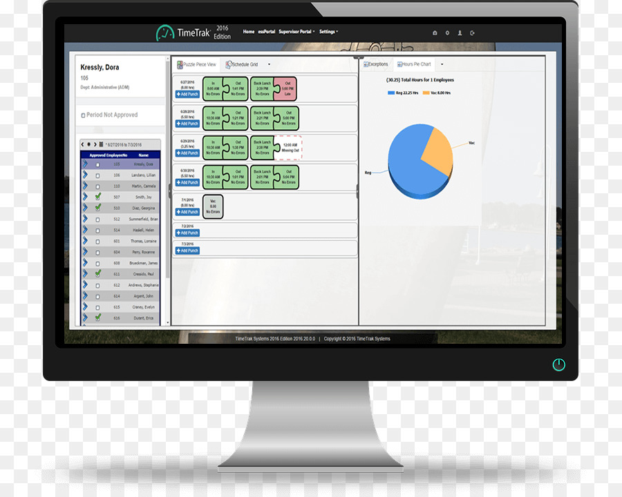 Timetrak Systems Inc，Software Informático PNG