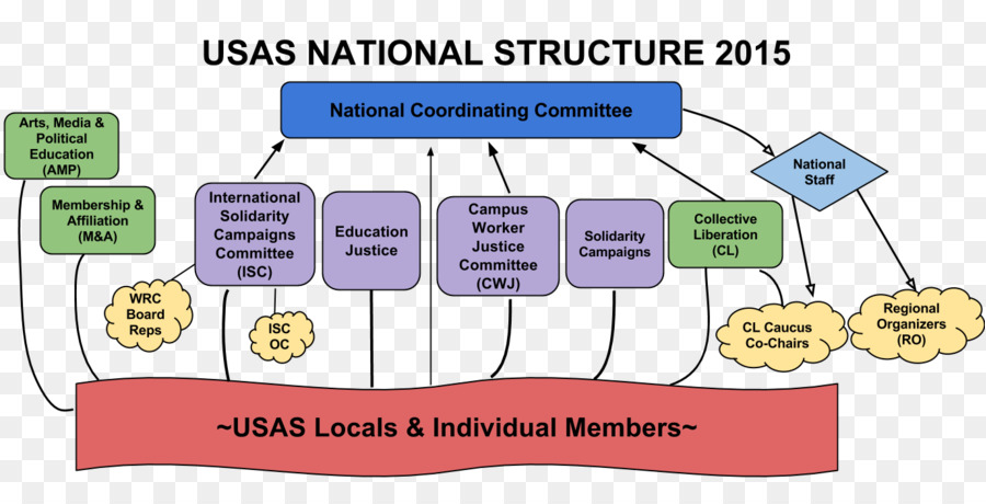 Estructura De La Organización，Organización PNG