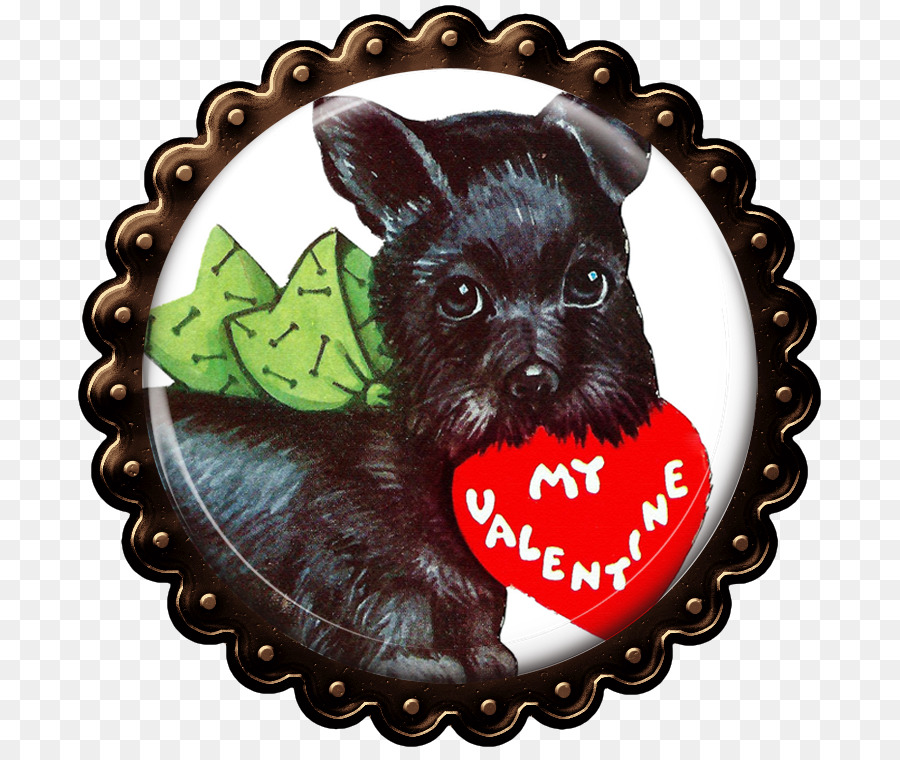 Cairn Terrier，Afinpinscher PNG