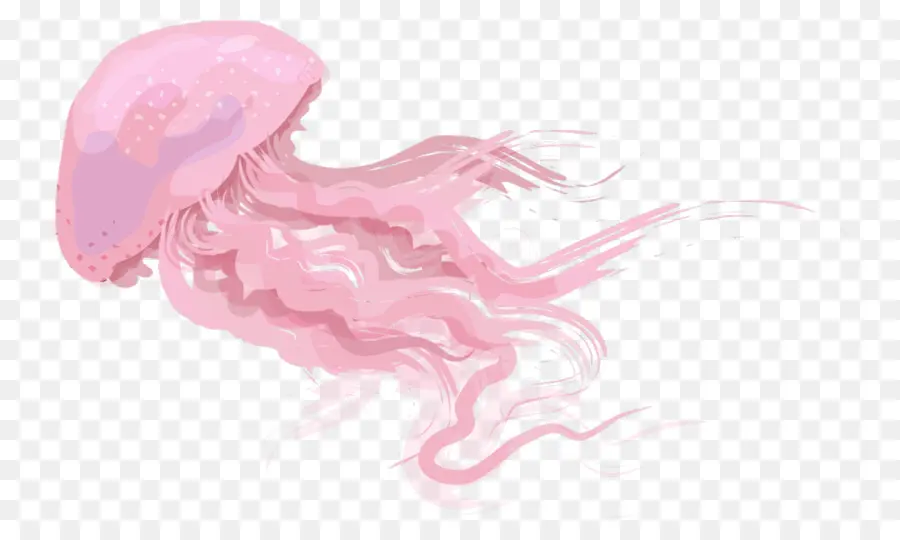 Las Medusas，Animal PNG