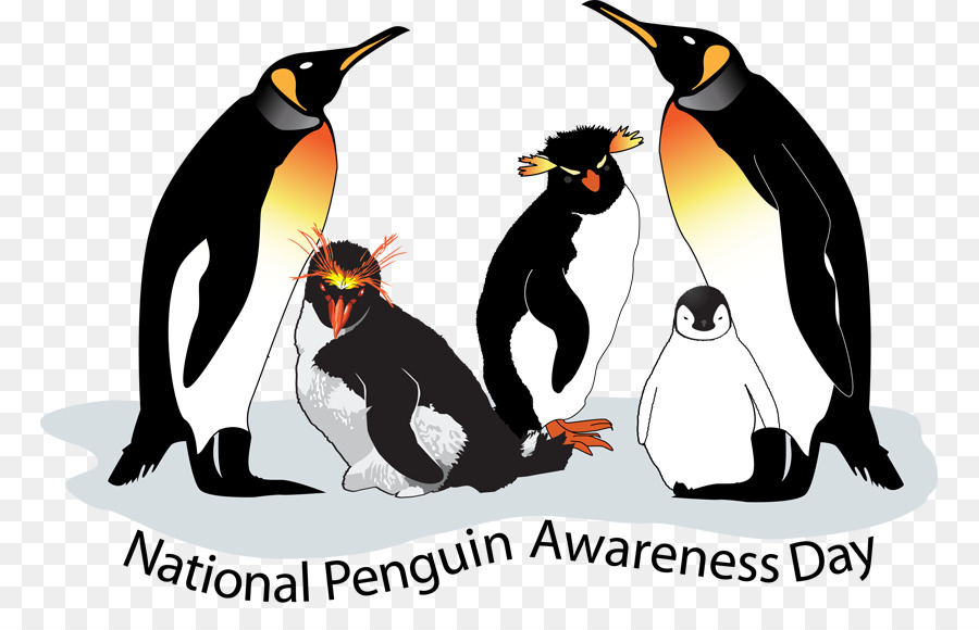 Pingüino Real，Pingüino PNG