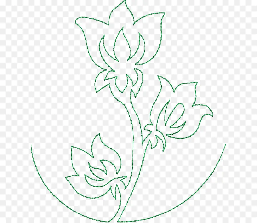 Contorno De Flor，Planta PNG