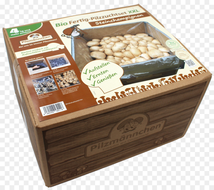 Alimentos Orgánicos，Agaricus PNG