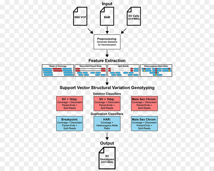 La Variación Estructural，El Genotipado PNG