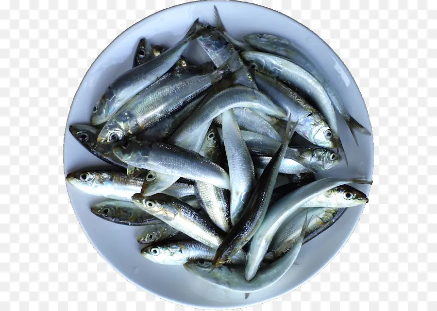 Sardina，Los Productos De Pescado PNG