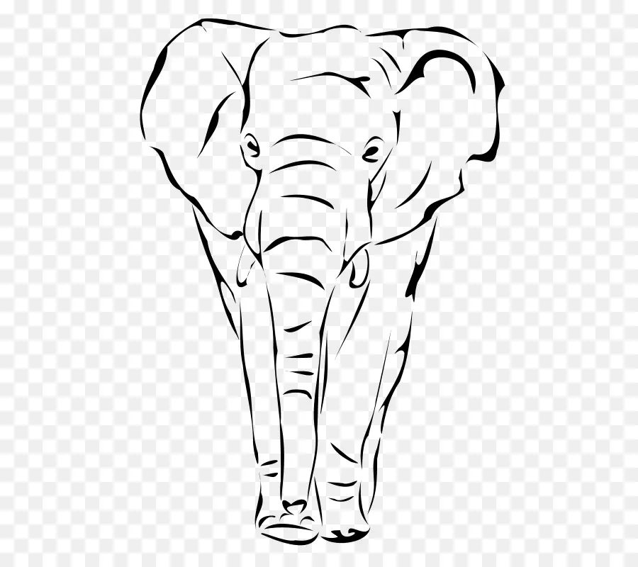 Elefante Africano De Sabana，Dibujo PNG