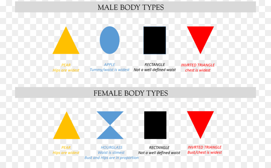 Forma Del Cuerpo Femenino，Cuerpo Humano PNG
