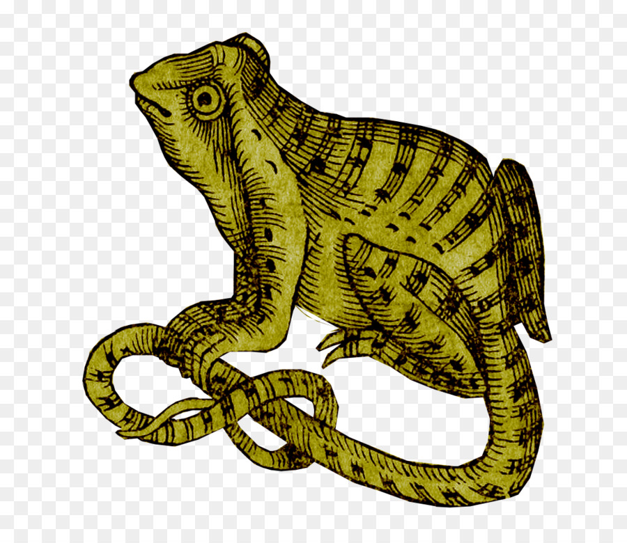 Reptil，Animal PNG