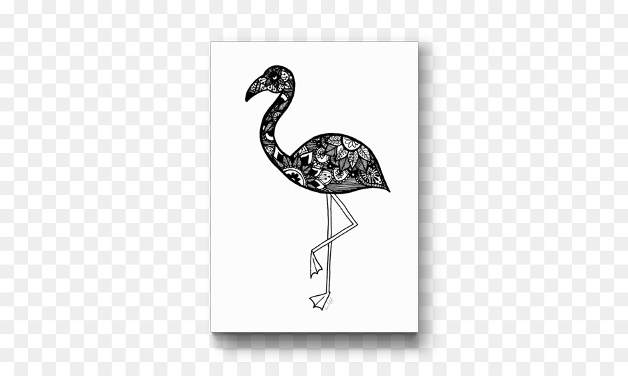 Aves，Dibujo PNG