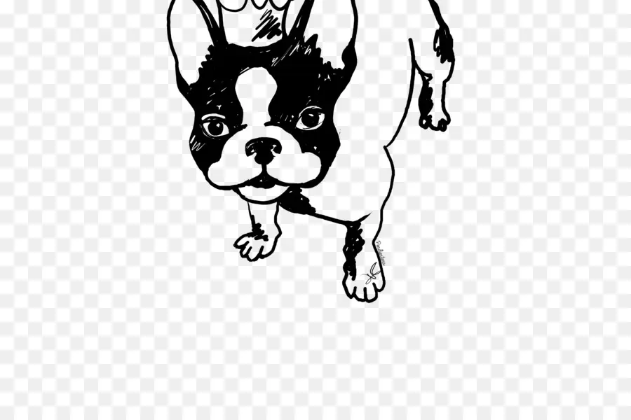 Bulldog Francés，Perro PNG