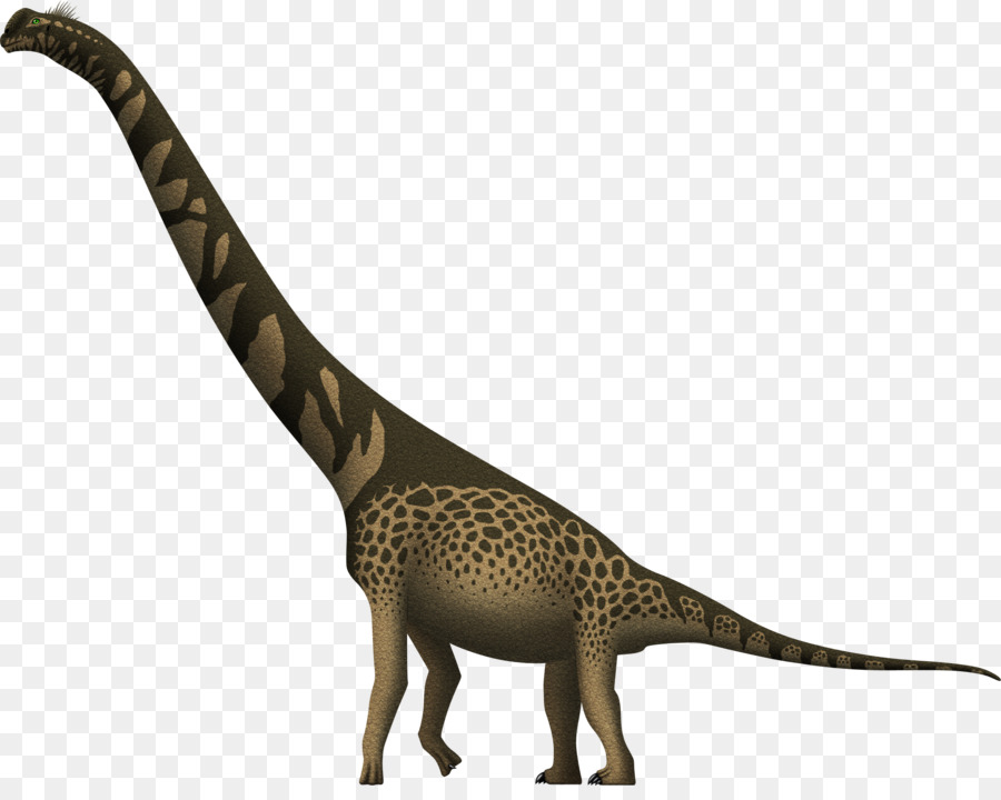 Cedarosaurus，Jirafa PNG