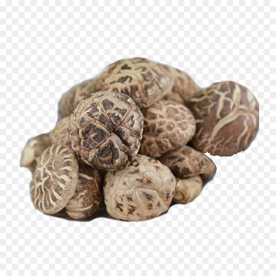 Shiitake，Alimento PNG