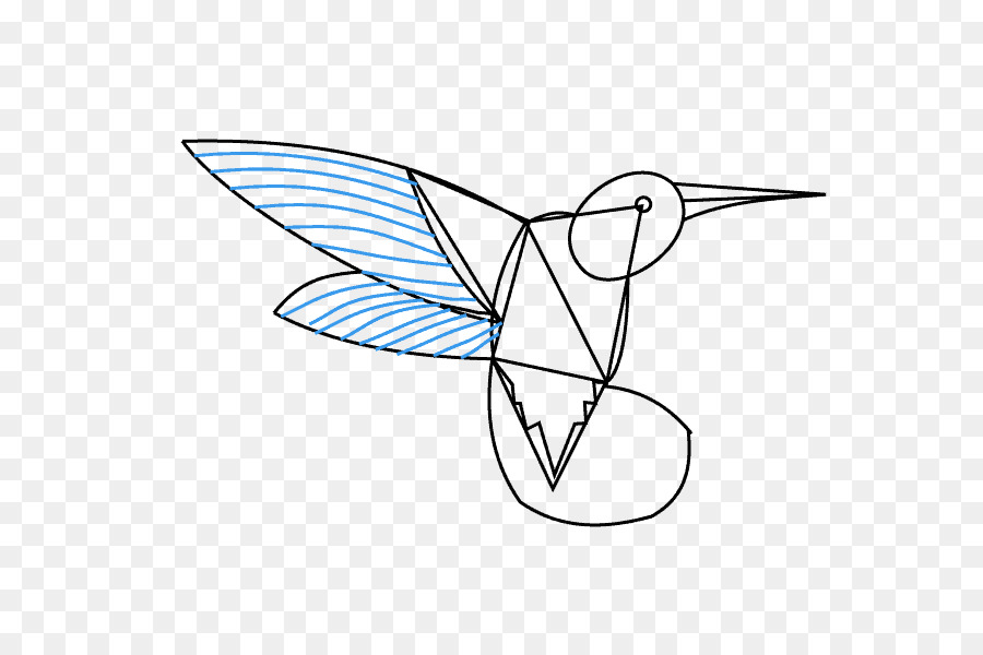 Colibrí，Dibujo PNG