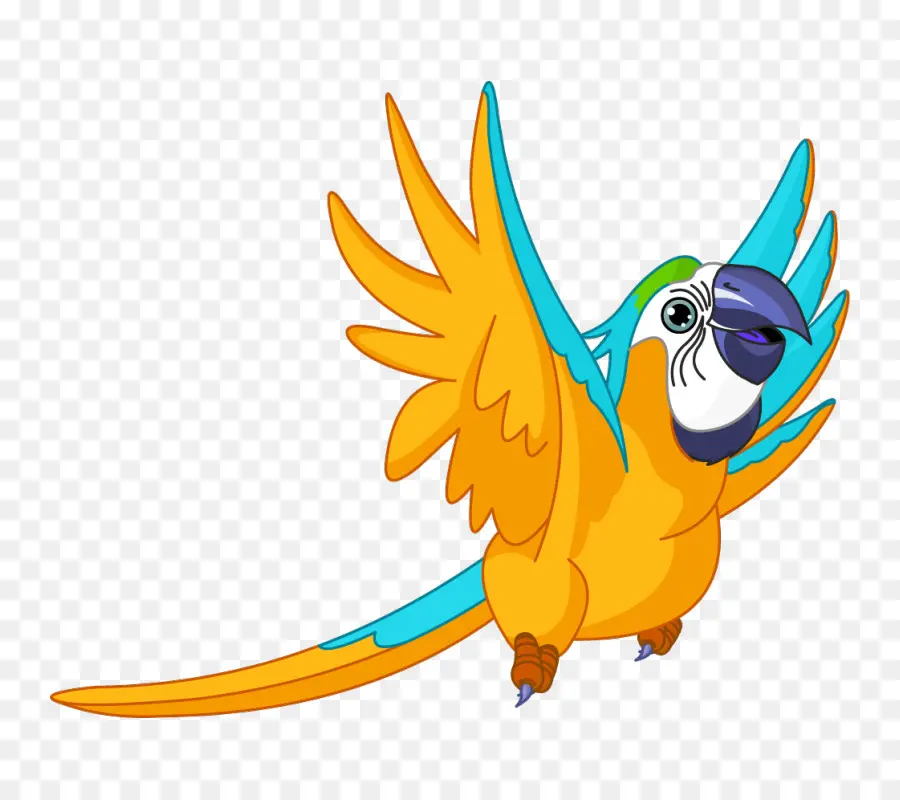 Guacamayo，Loro PNG