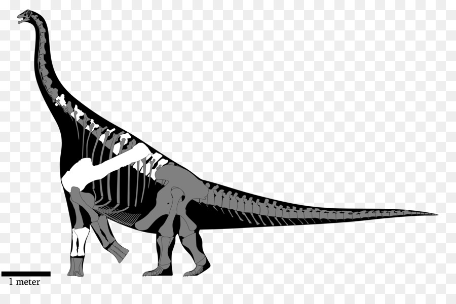 Tyrannosaurus，Nemegtosaurus PNG