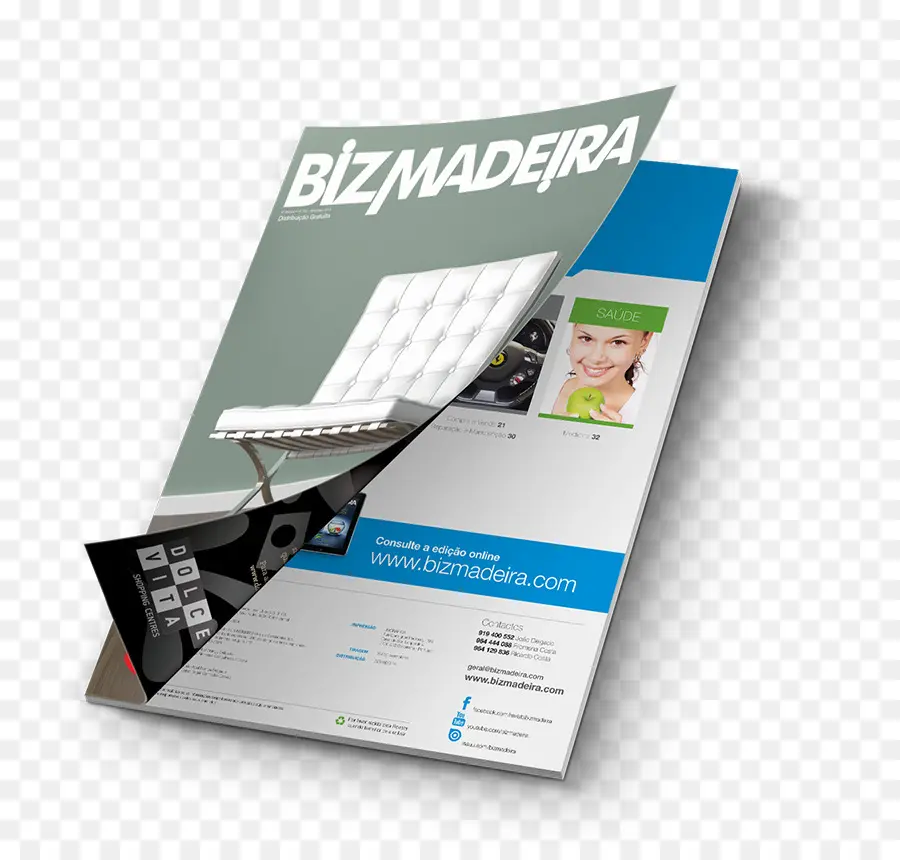 Revista，Bizmadeira PNG