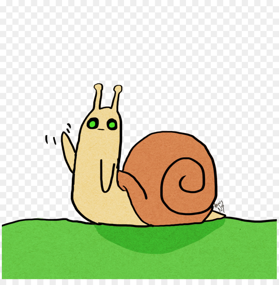 Caracol，Dedo PNG