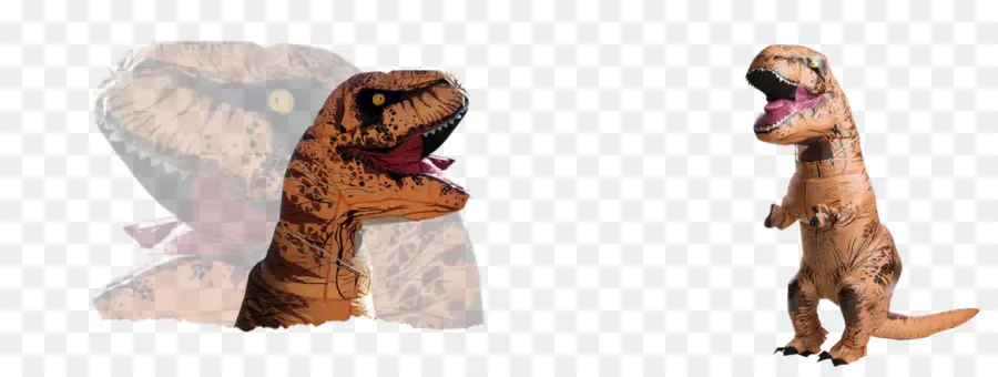 Tyrannosaurus，Dinosaurio PNG