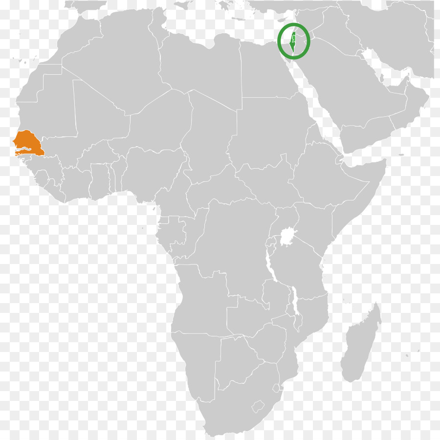 Sahelanthropus Tchadensis，Los Simios Africanos PNG