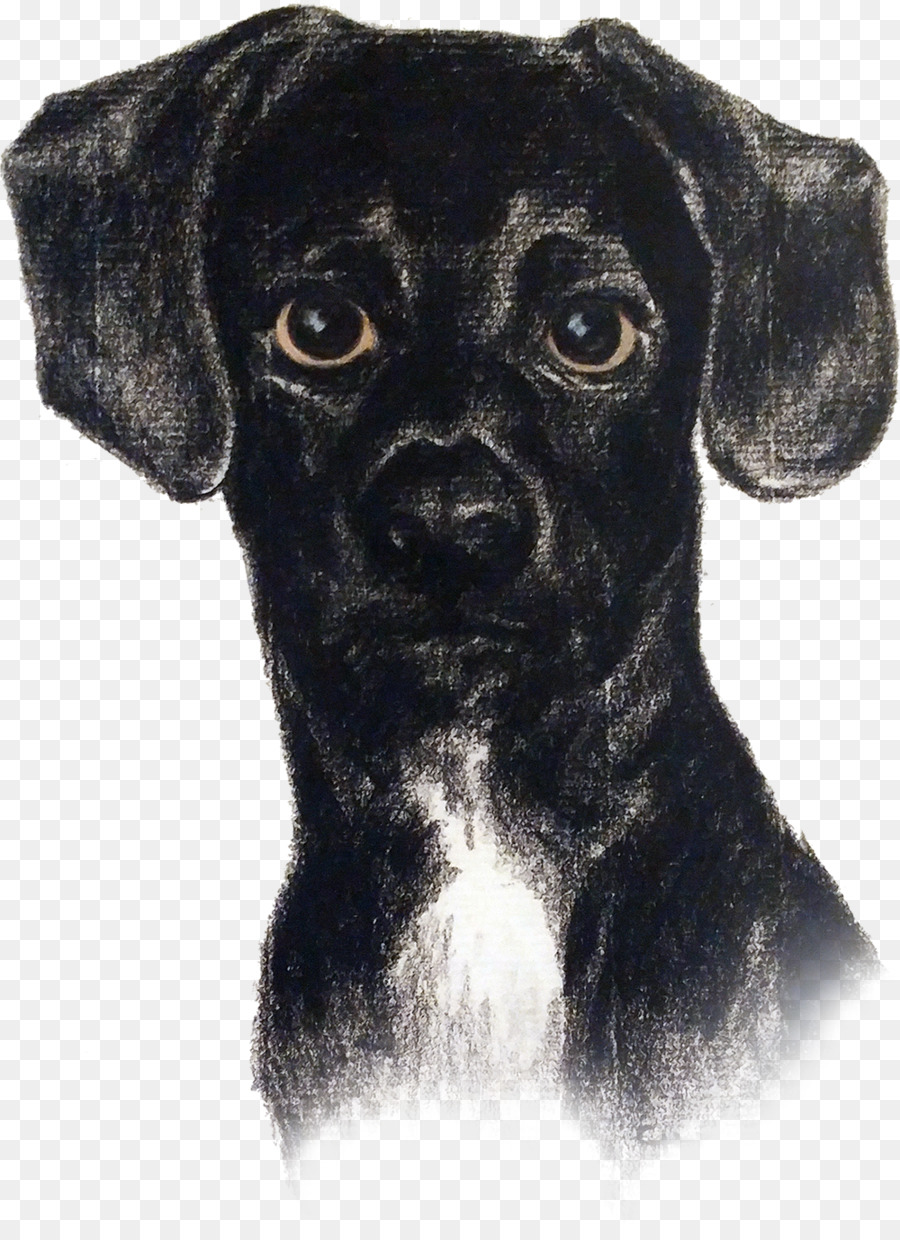 Perro Negro，Retrato PNG