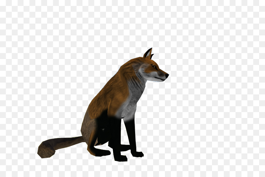 Zorro，Correr PNG