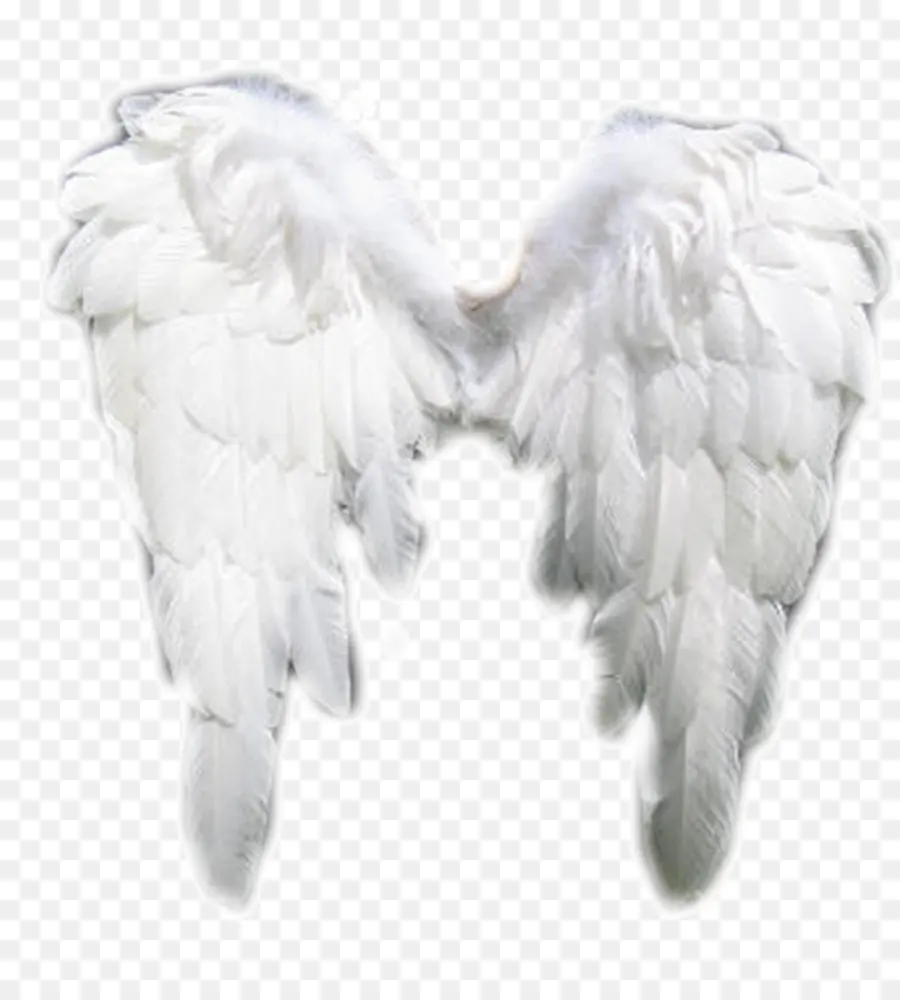 ángel，Querubín PNG