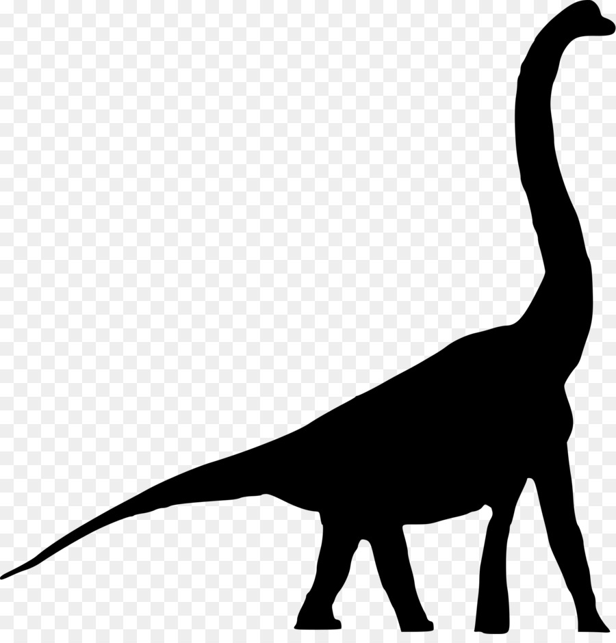 Tyrannosaurus，Brachiosaurus PNG