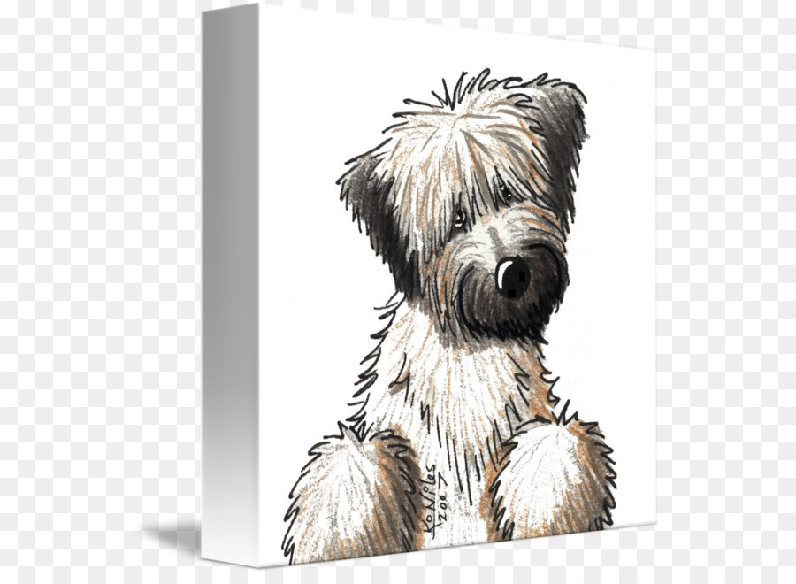 Skye Terrier，Softcoated De Trigo Terrier PNG