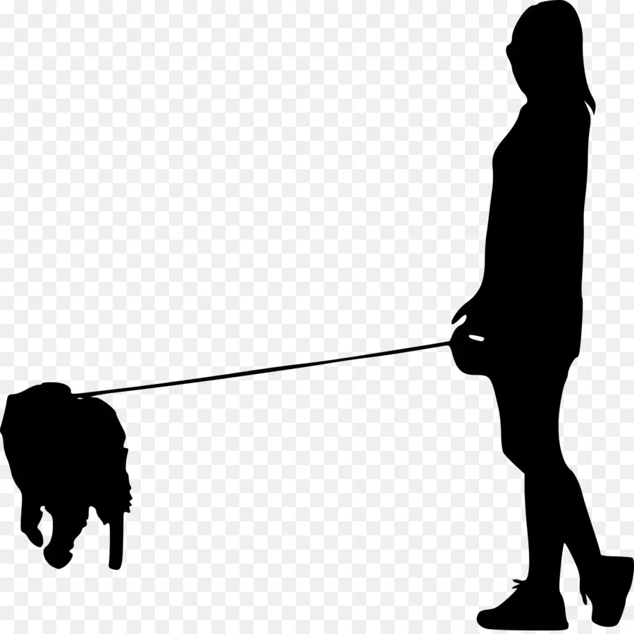 Persona Paseando Perro，Mascota PNG