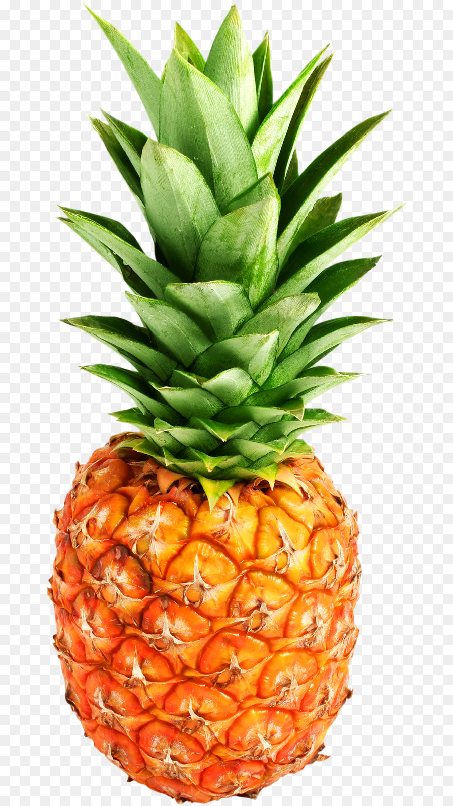 Piña Azul，Fruta PNG