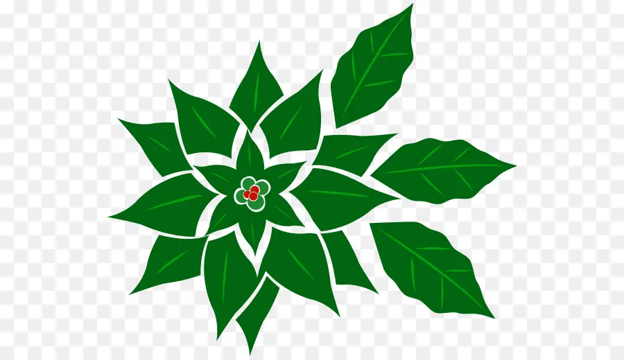 Flor，La Flor De Pascua PNG