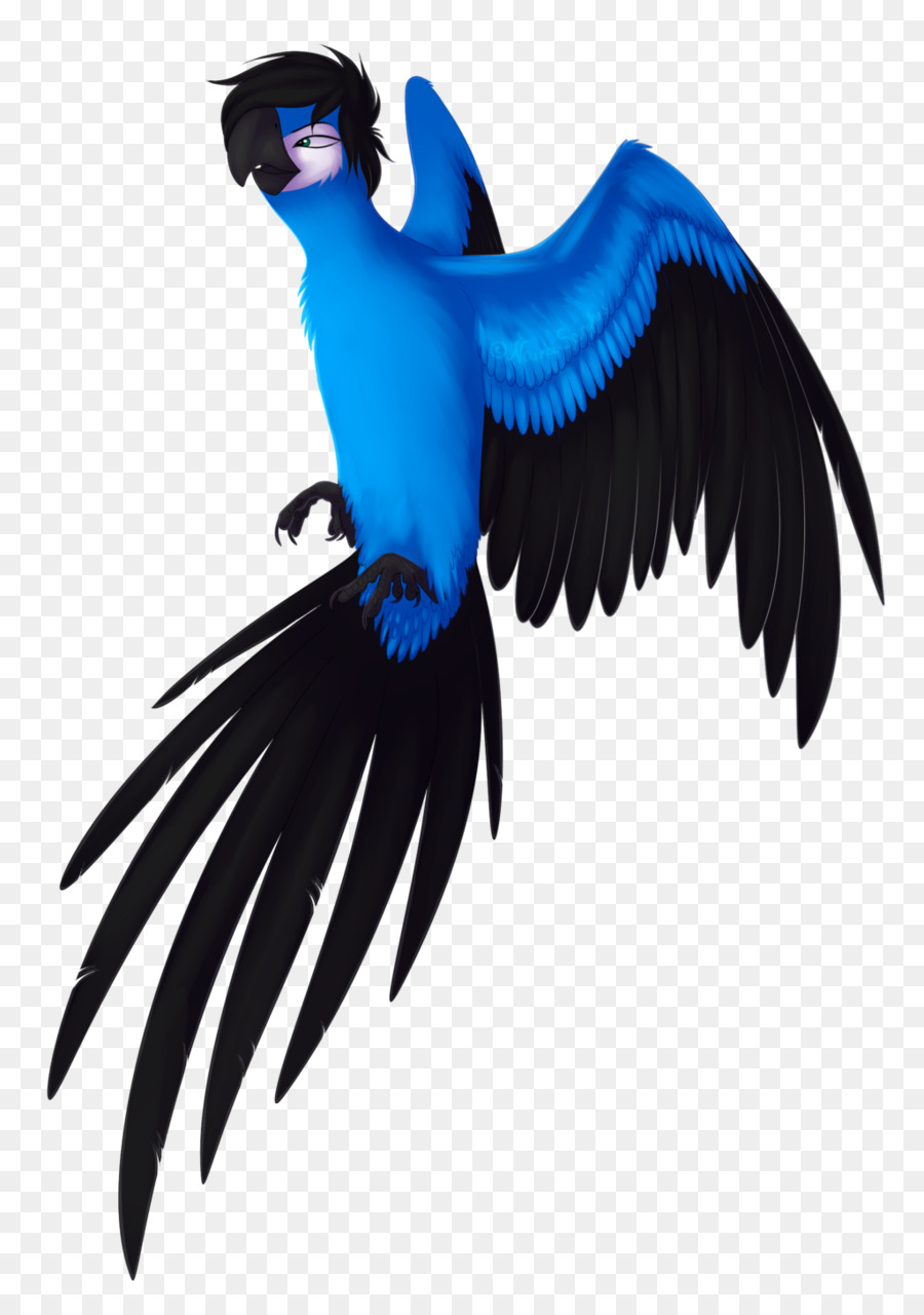 Pájaro，Plumas PNG