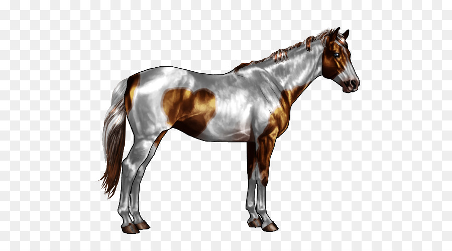 Caballo，Equino PNG