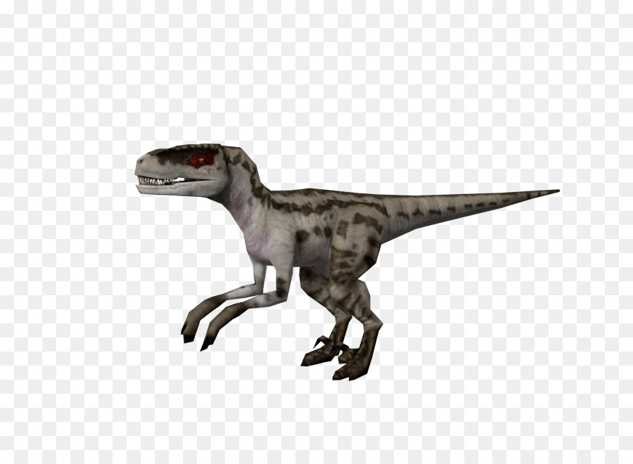 Velociraptor，Jurassic Park Operación Génesis PNG