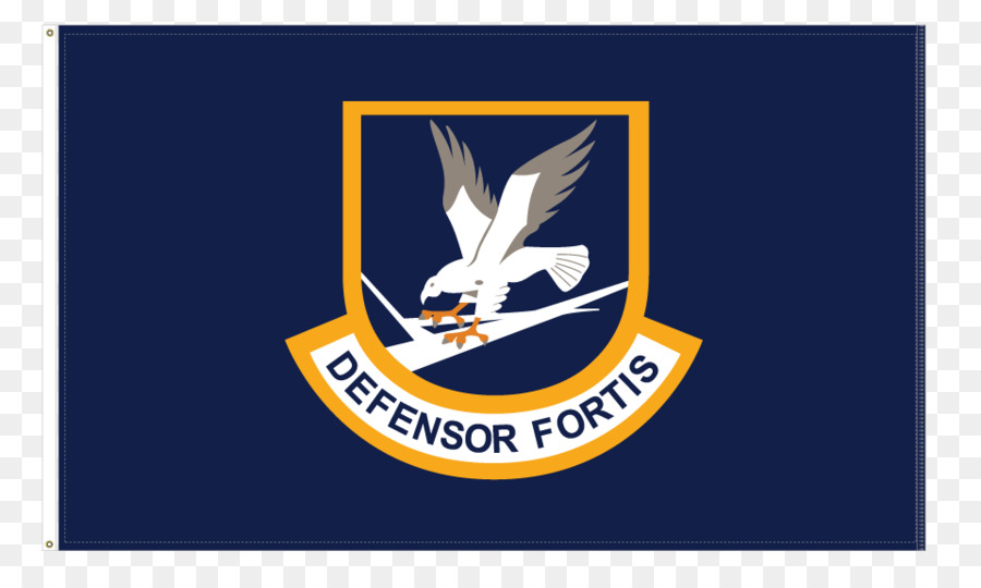 Estados Unidos，Estados Unidos De La Fuerza Aérea De Las Fuerzas De Seguridad PNG
