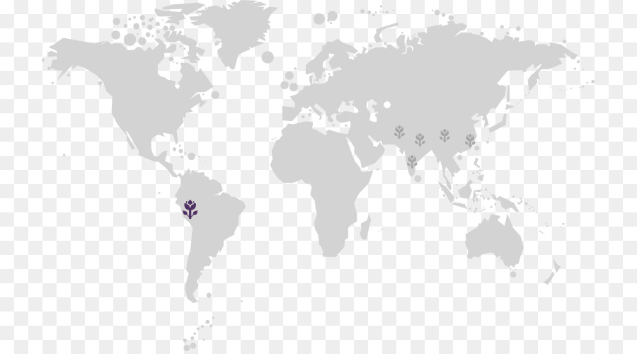 Mundo，Mapa Del Mundo PNG