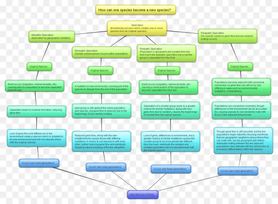 Especies Y Especiación，Peripatric Especiación PNG