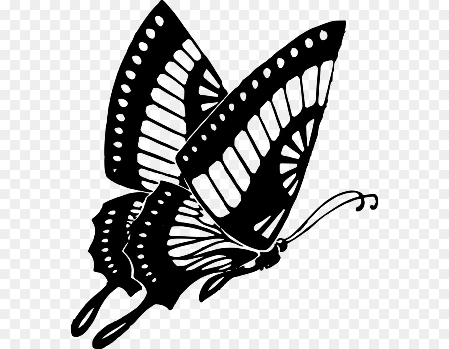 Mariposa，En Blanco Y Negro PNG