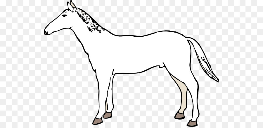Mula，Mustang PNG