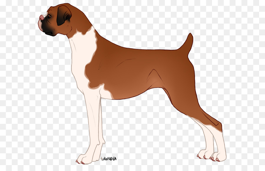 Raza De Perro，Foxhound Inglés PNG