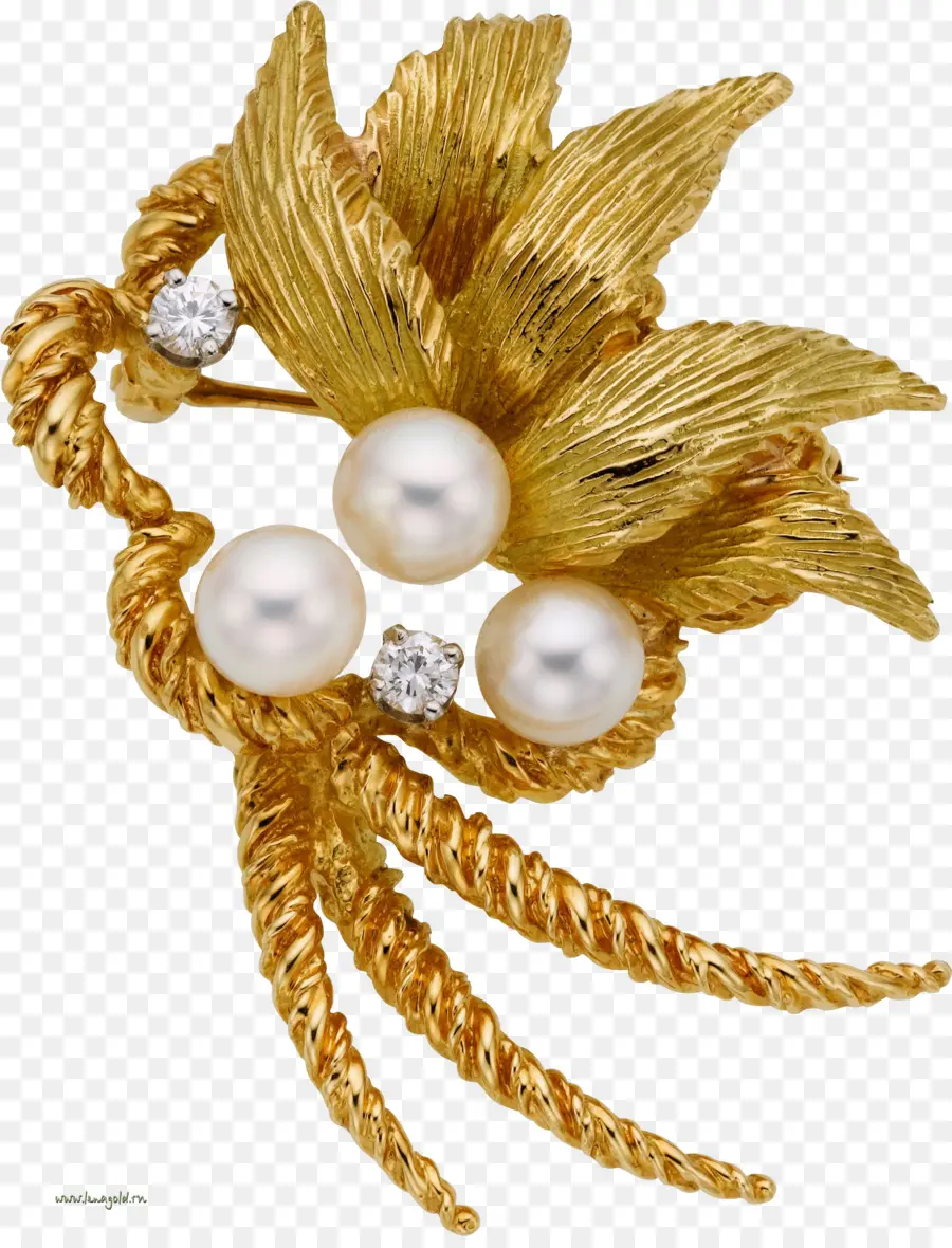 Broche De Oro，Perlas PNG