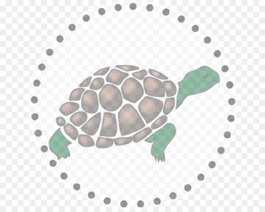 Tortuga，Tibetano De La Serie PNG