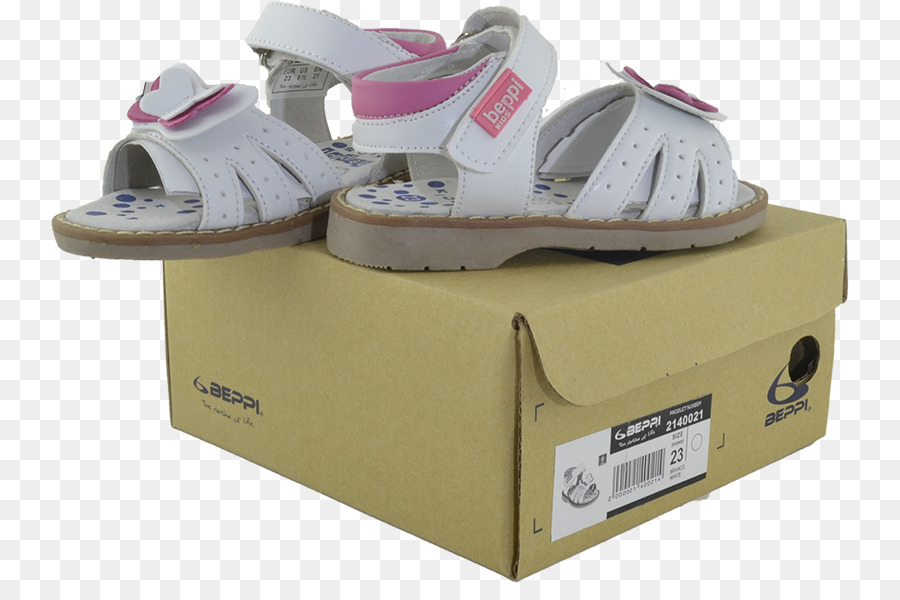 Caja De Cartón，Zapato PNG