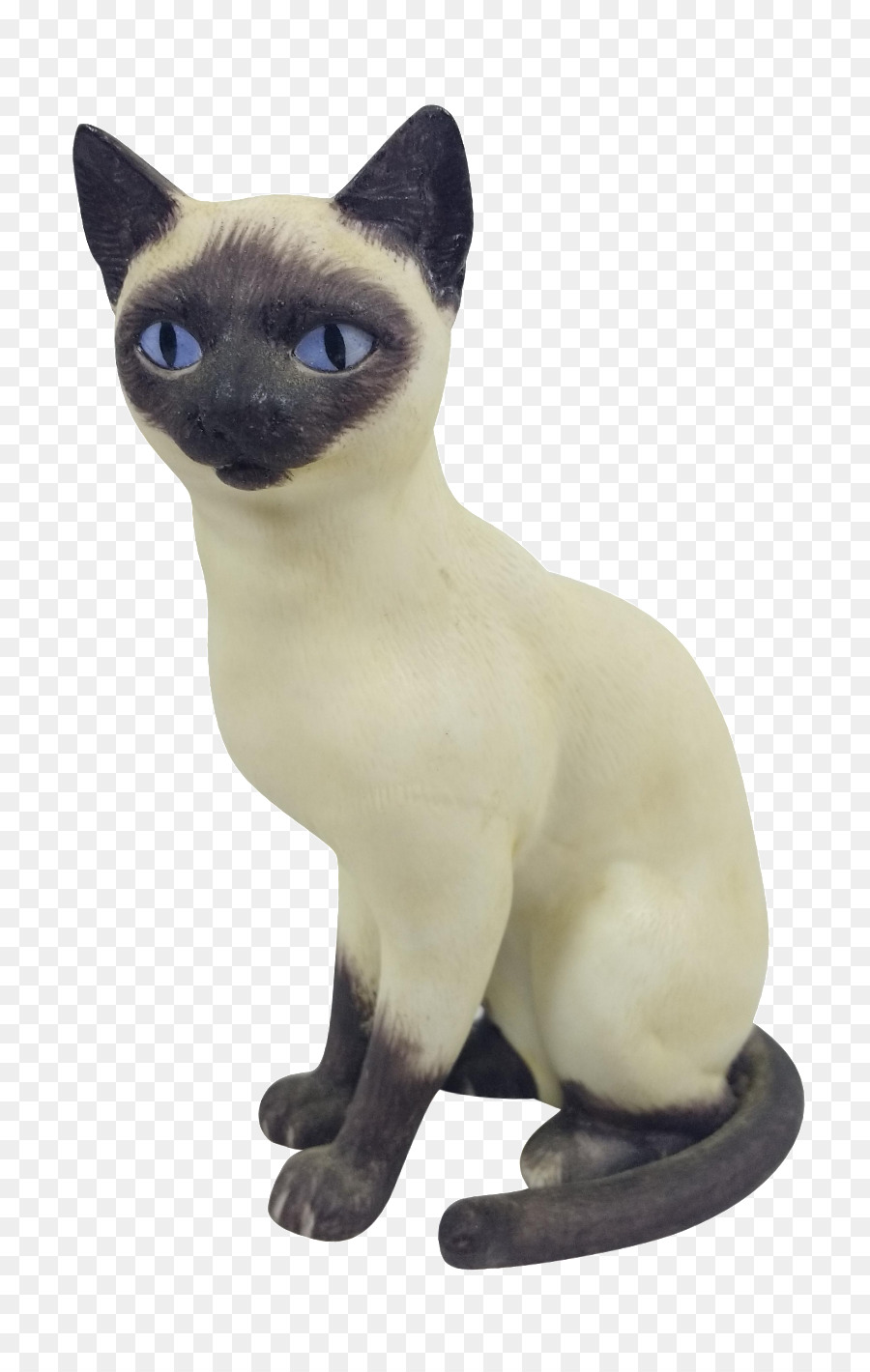 Gato Siamés，Tonkinese Gato PNG