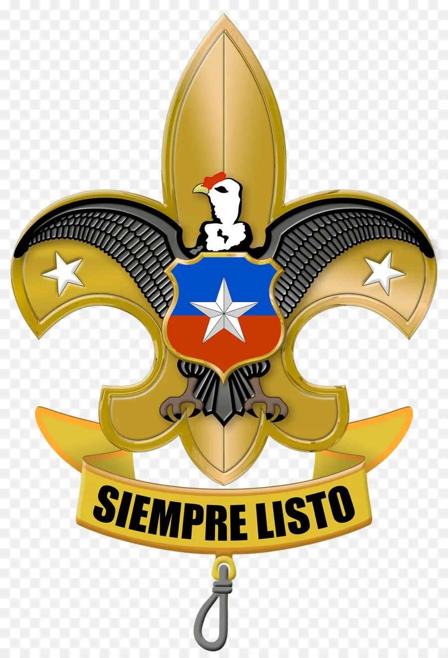 Agrupación Nacional De Boy Scouts De Chile，El Escultismo PNG