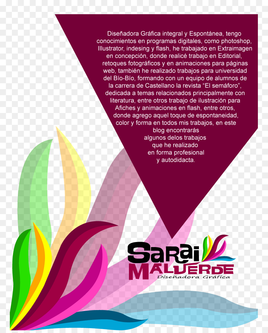 Diseño Gráfico，Portafolio Electrónico PNG